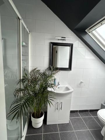 The Lodge, Monkstown Monkstown  外观 照片