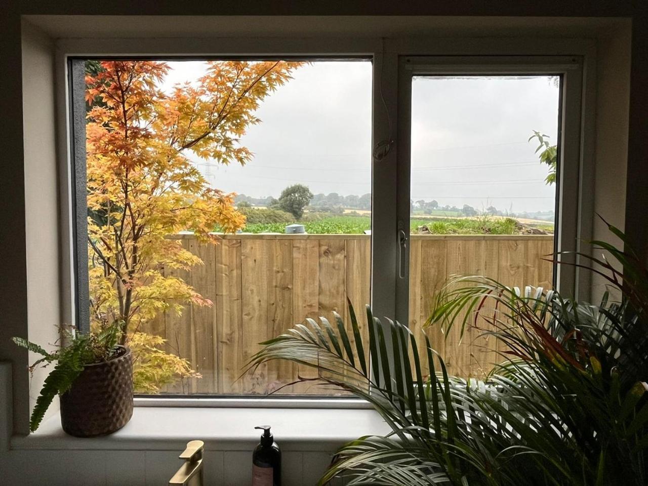 The Lodge, Monkstown Monkstown  外观 照片
